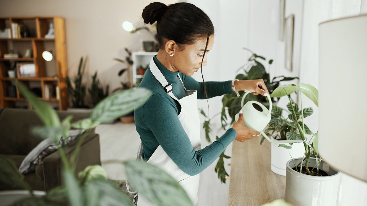 Image for The Hobby Home: What If Your Next House Helped You Discover a New Passion? article